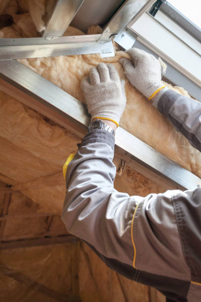 Best Insulation Removal  in Byrnes Mill, MO